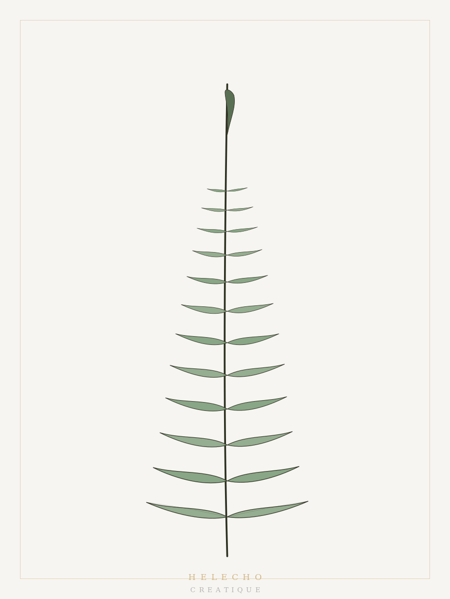 Creatique · Botanical art / Arte botánico